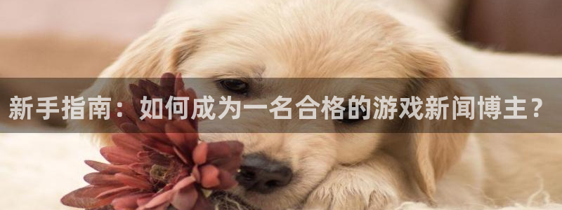 多彩联盟平台1980网站是什么：新手指南：如何成为一名合格的