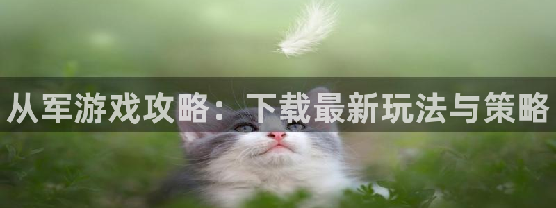 多彩联盟旗下平台是什么：从军游戏攻略：下载最新玩法与策略